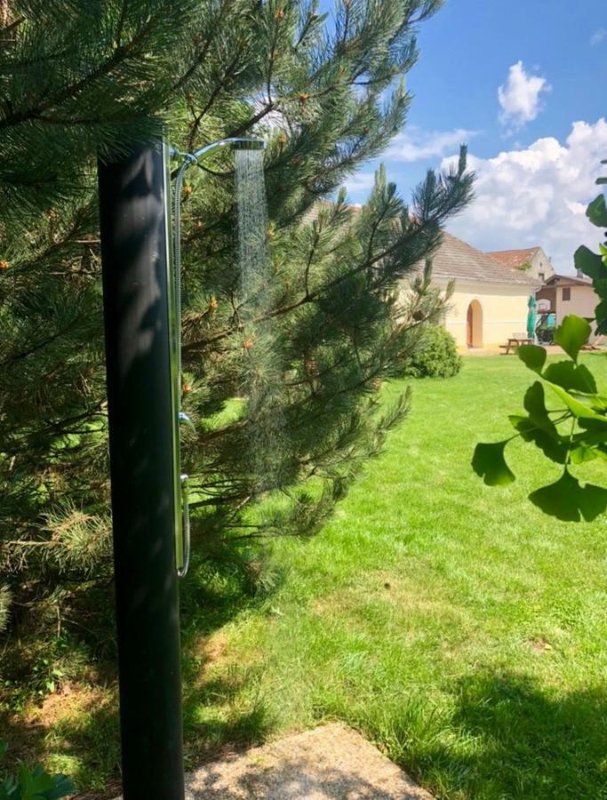 Apartmanove Ubytovanie Pod Dubom Polny Kesov Экстерьер фото